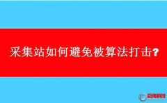 西安seo培訓(xùn)：采集站如何避免被算法打擊?